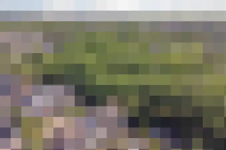 Roggenplaat 53 Zierikzee thumbnail 30