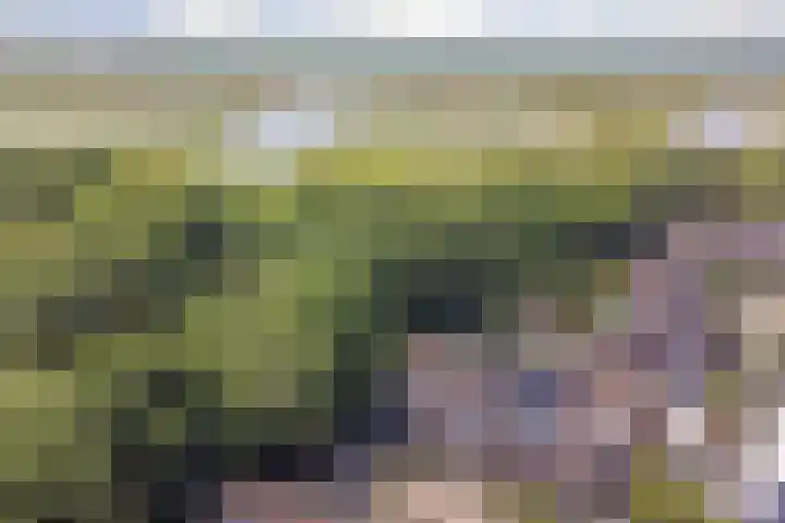 Roggenplaat 53 Zierikzee thumbnail 31