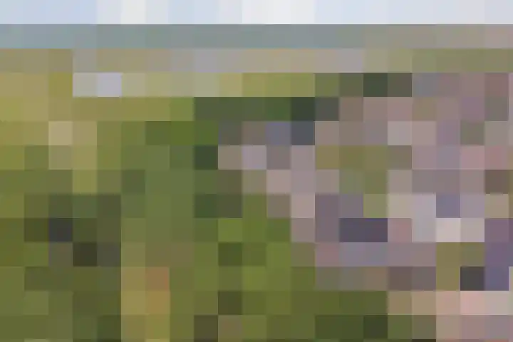 Roggenplaat 53 Zierikzee thumbnail 32