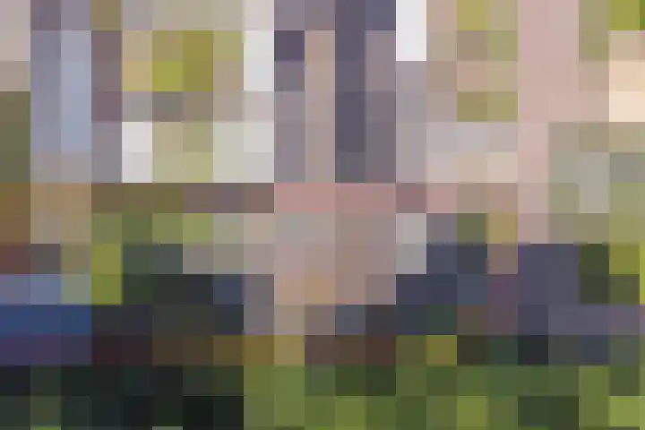 Roggenplaat 53 Zierikzee thumbnail 33