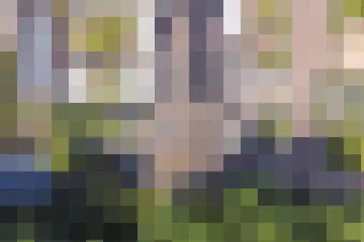 Roggenplaat 53 Zierikzee thumbnail 34