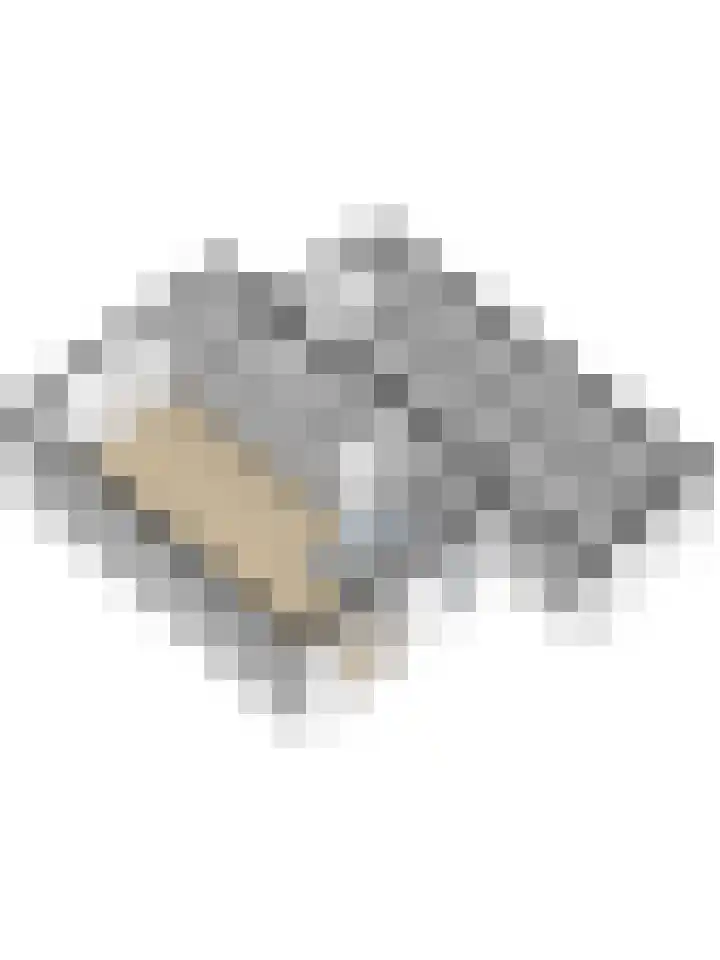 Roggenplaat 53 Zierikzee thumbnail 36