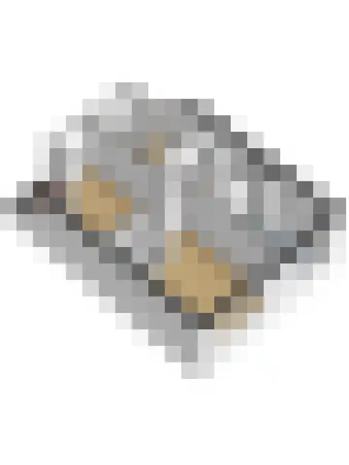 Roggenplaat 53 Zierikzee thumbnail 38