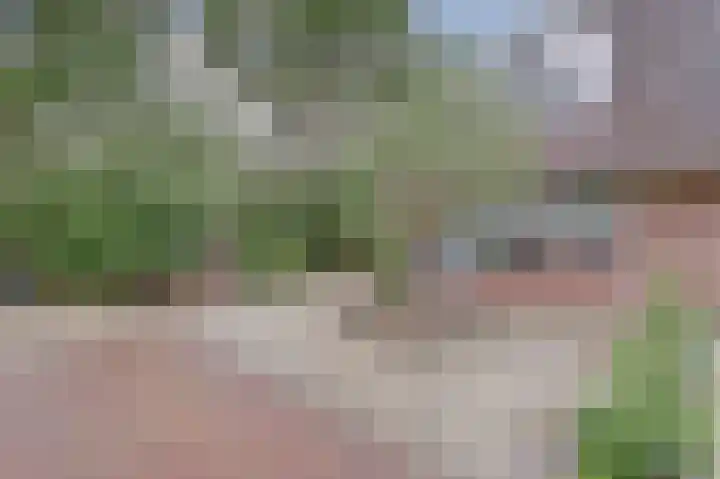 Roggenplaat 53 Zierikzee thumbnail 5