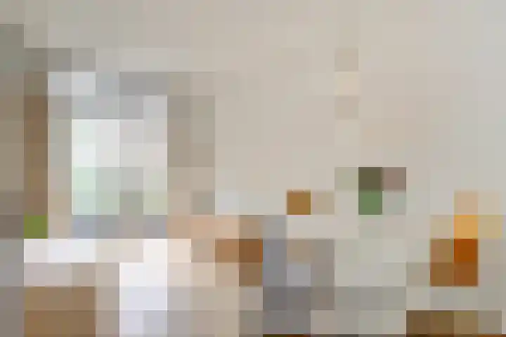 Roggenplaat 53 Zierikzee thumbnail 8