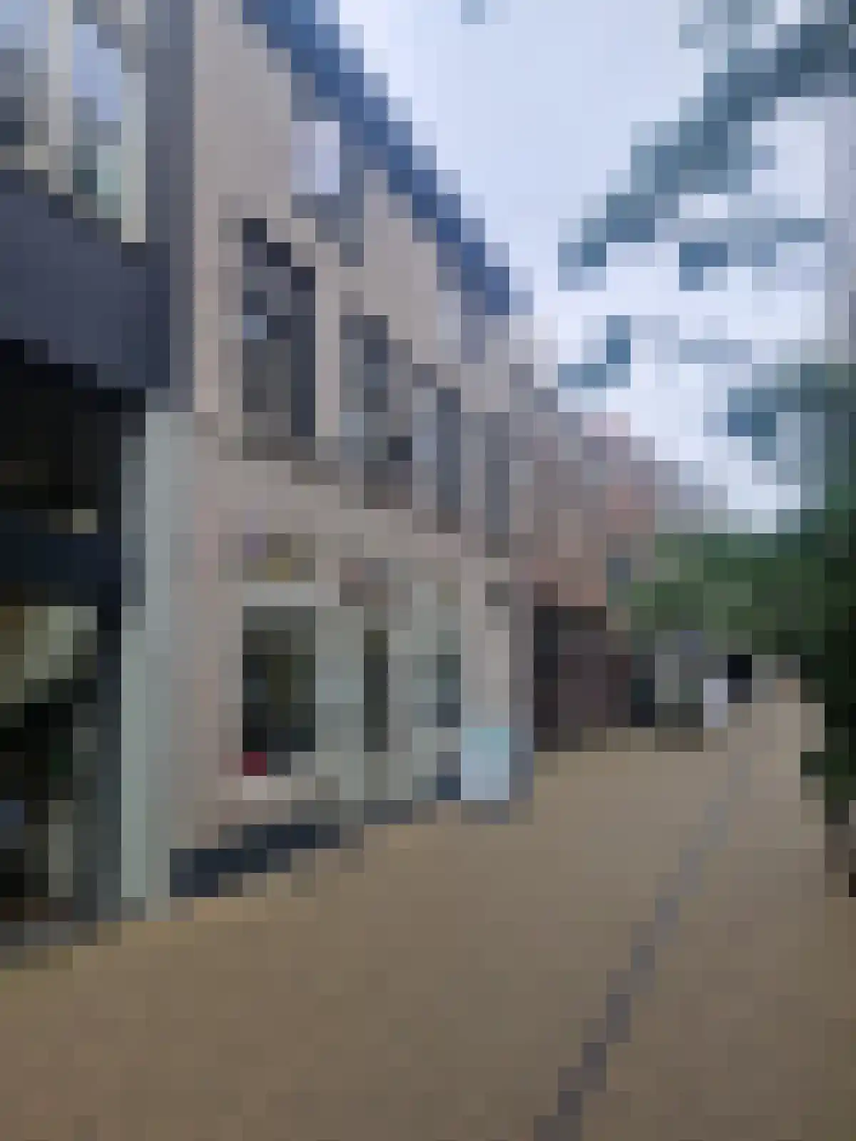 Roggenstraat Zwolle foto 2