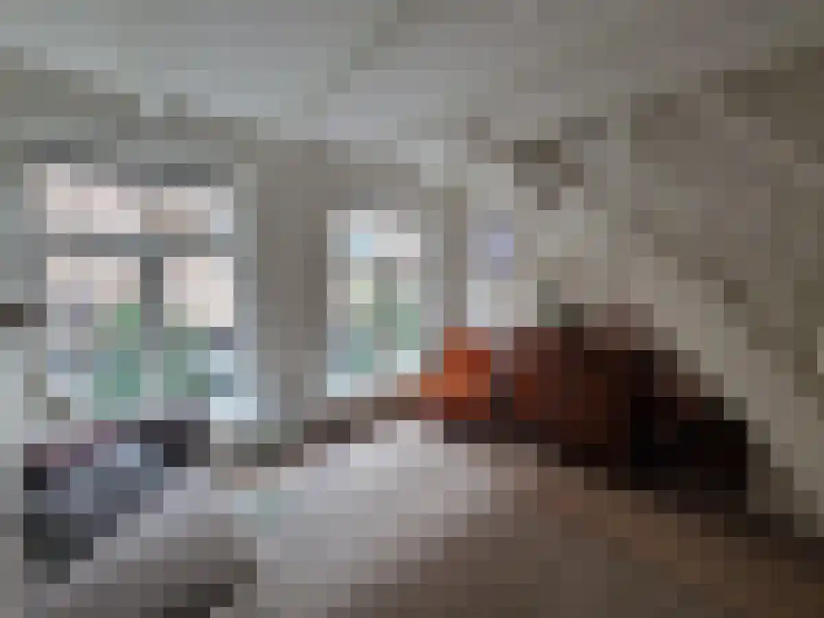 Roggenstraat Zwolle thumbnail 4