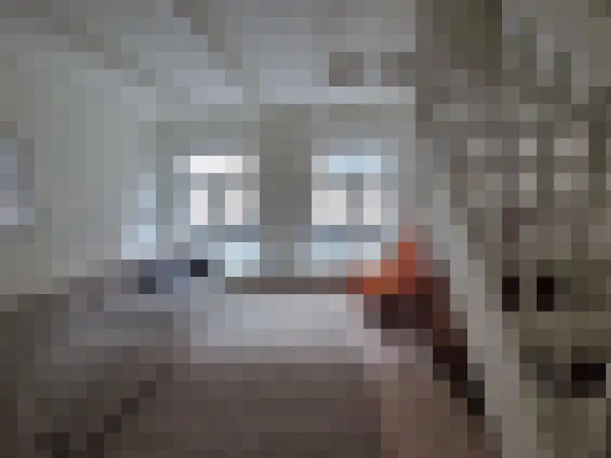 Roggenstraat Zwolle thumbnail 6