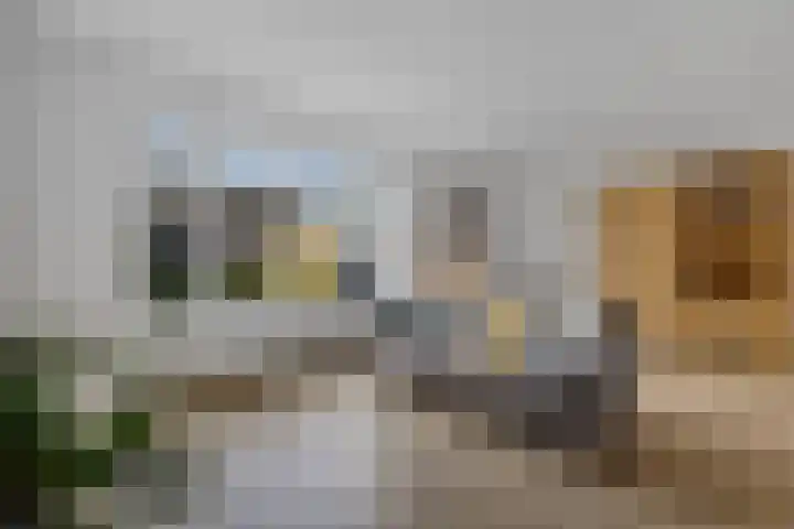 Roggepaed 18 Ureterp thumbnail 10