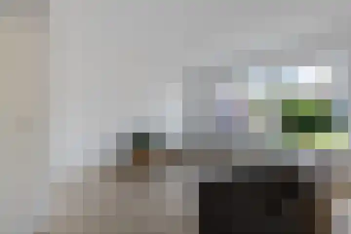 Roggepaed 18 Ureterp thumbnail 11