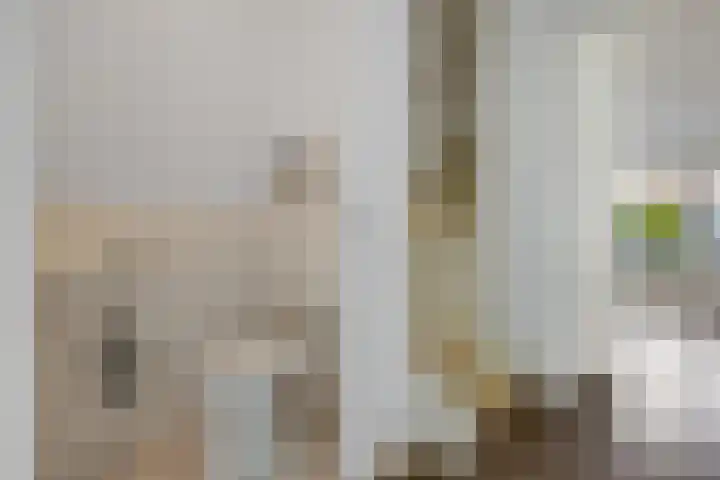 Roggepaed 18 Ureterp thumbnail 14