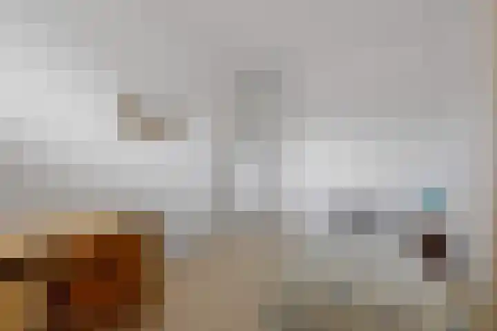 Roggepaed 18 Ureterp thumbnail 19