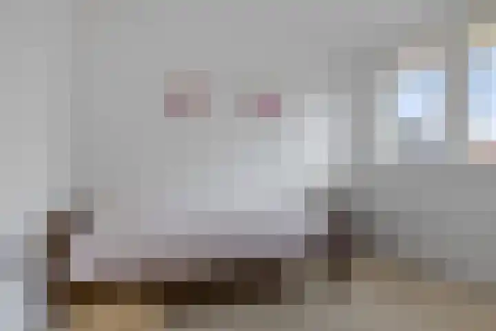 Roggepaed 18 Ureterp thumbnail 21