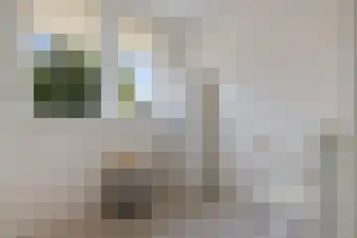 Roggepaed 18 Ureterp thumbnail 23