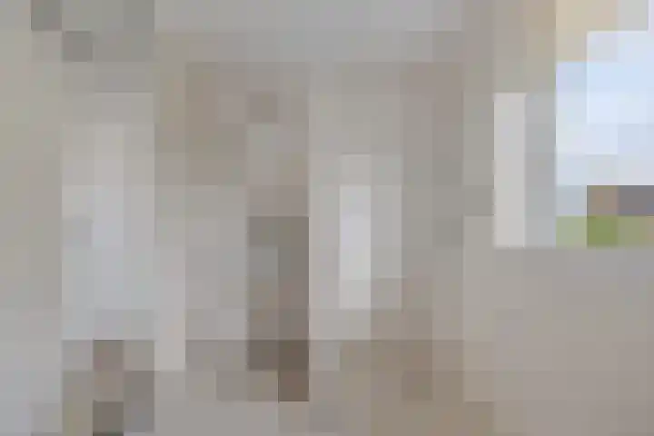 Roggepaed 18 Ureterp thumbnail 24