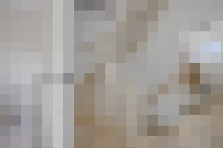 Roggepaed 18 Ureterp thumbnail 25
