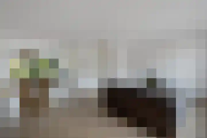 Roggepaed 18 Ureterp foto 3