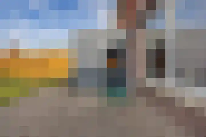 Roggepaed 18 Ureterp thumbnail 30
