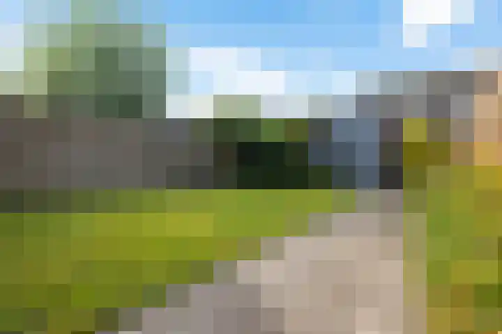 Roggepaed 18 Ureterp thumbnail 32