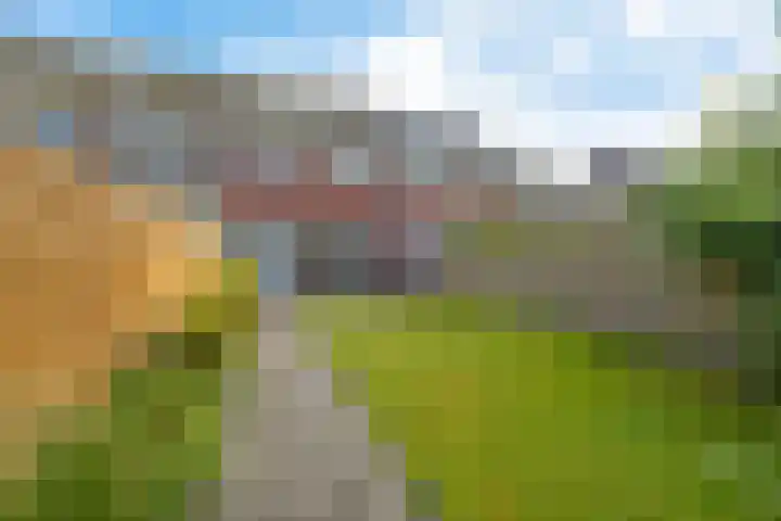Roggepaed 18 Ureterp thumbnail 33