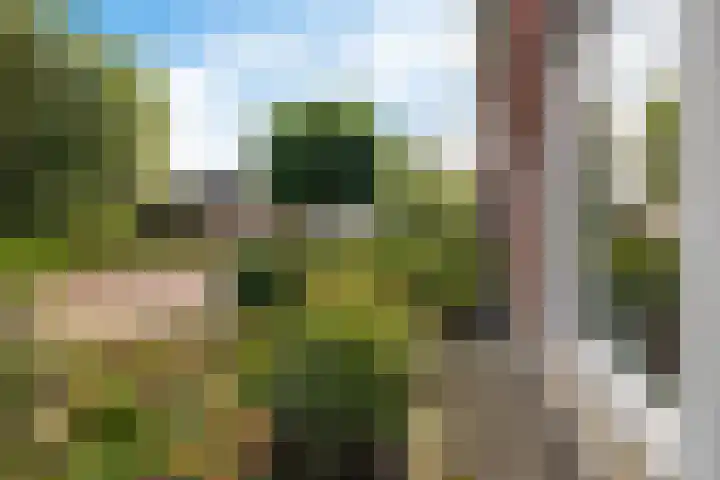 Roggepaed 18 Ureterp thumbnail 35