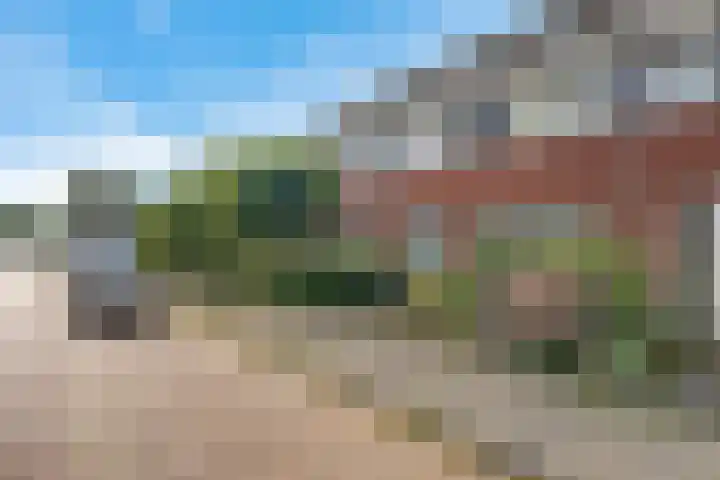 Roggepaed 18 Ureterp thumbnail 38