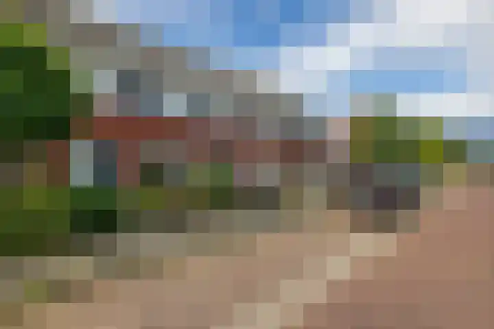 Roggepaed 18 Ureterp thumbnail 39