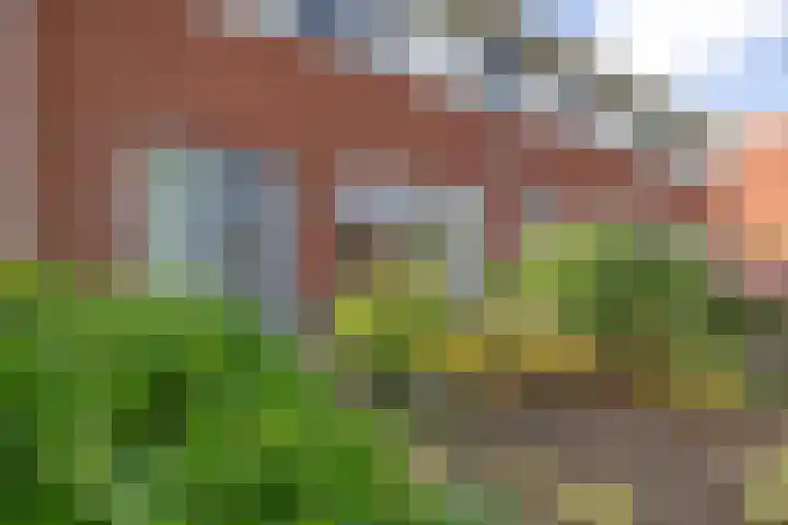 Roggepaed 18 Ureterp thumbnail 40