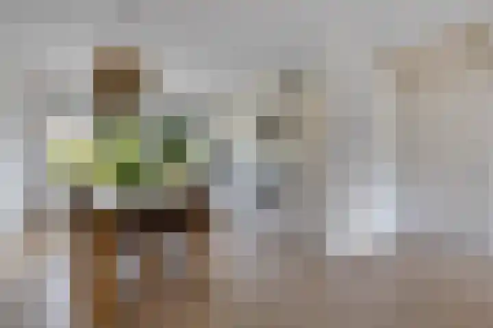 Roggepaed 18 Ureterp thumbnail 5