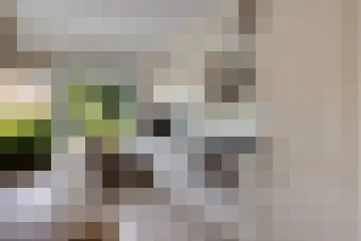 Roggepaed 18 Ureterp thumbnail 6