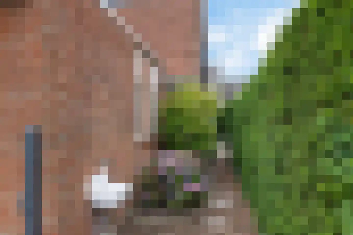 Roggepaed 7 Ureterp thumbnail 29