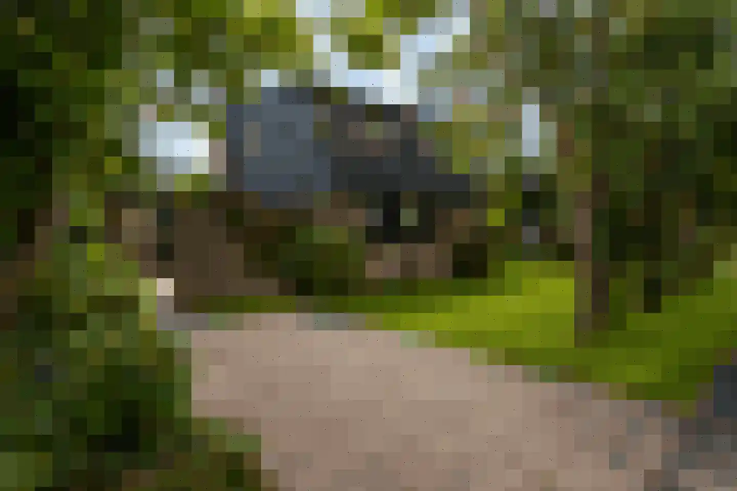 Roggeslootweg 141 De Cocksdorp thumbnail 44