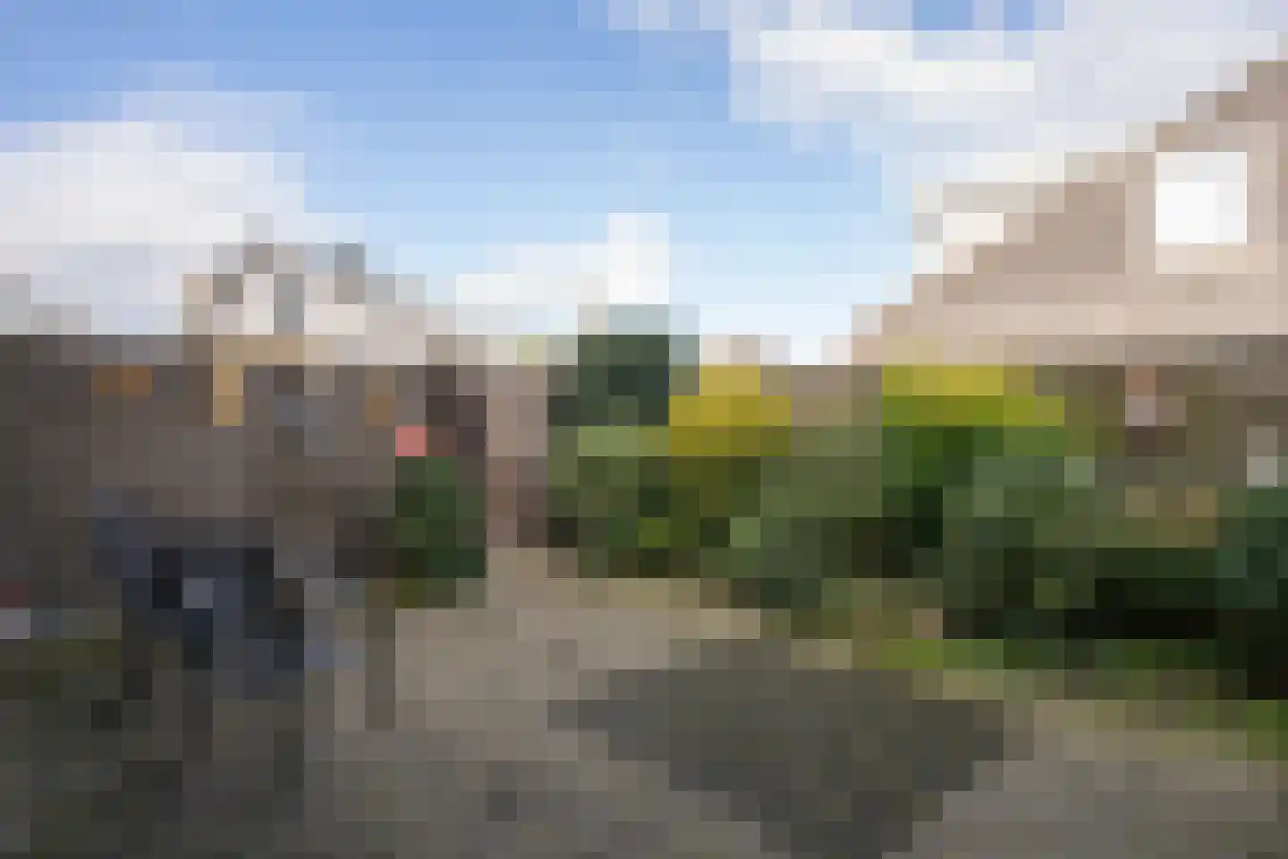 Roggeslootweg 149 De Cocksdorp thumbnail 41