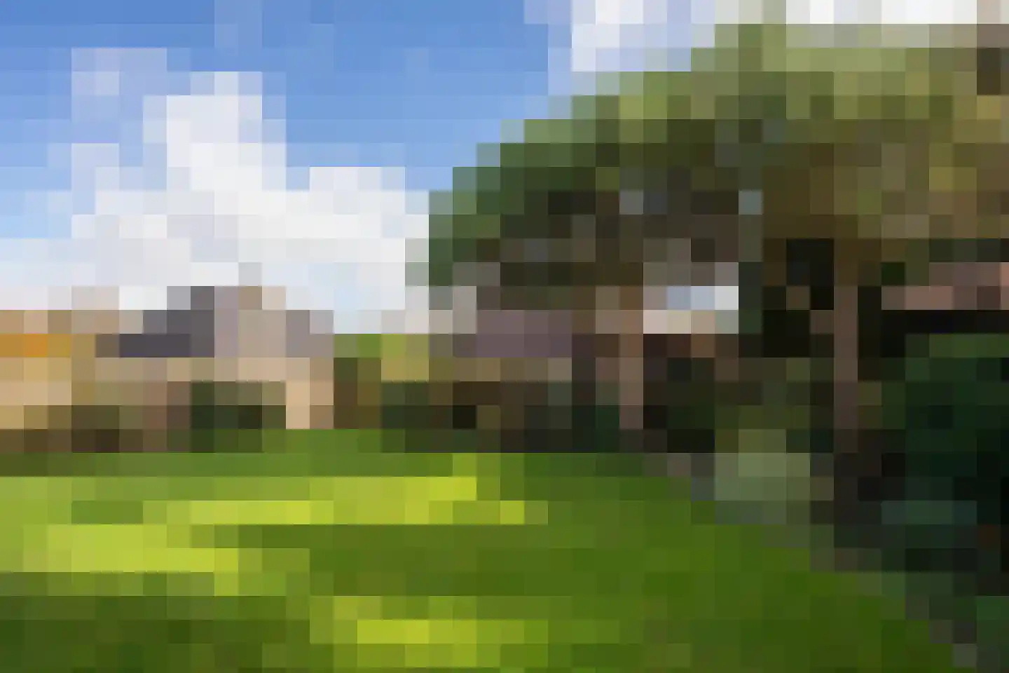 Roggeslootweg 149 De Cocksdorp thumbnail 50
