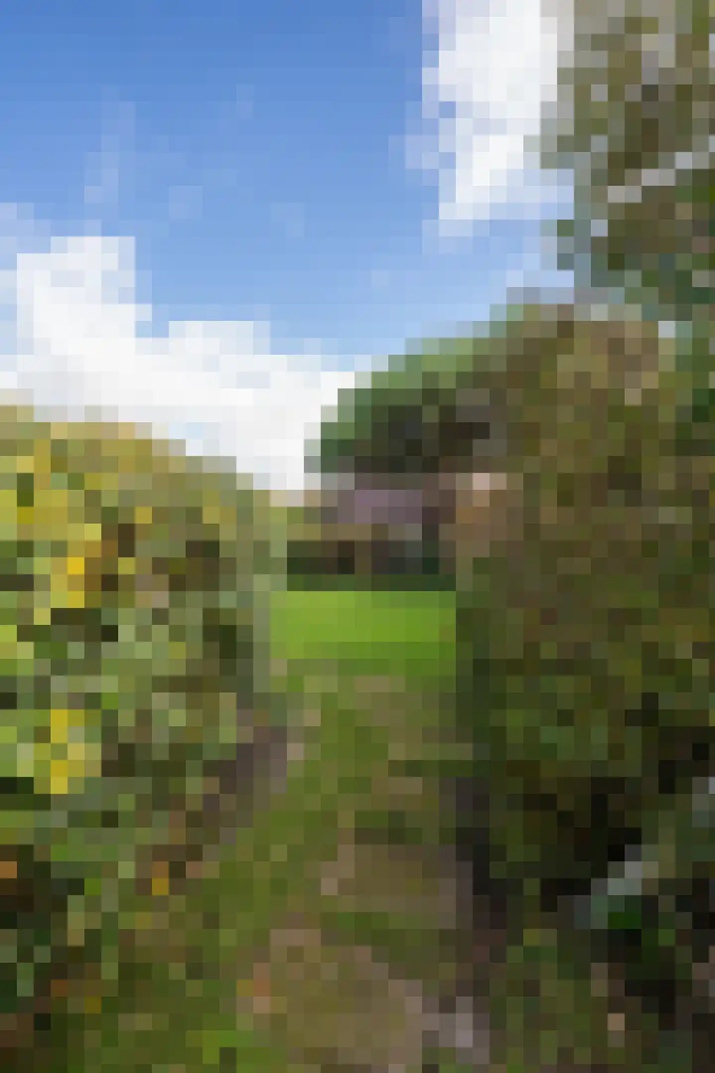 Roggeslootweg 149 De Cocksdorp thumbnail 51