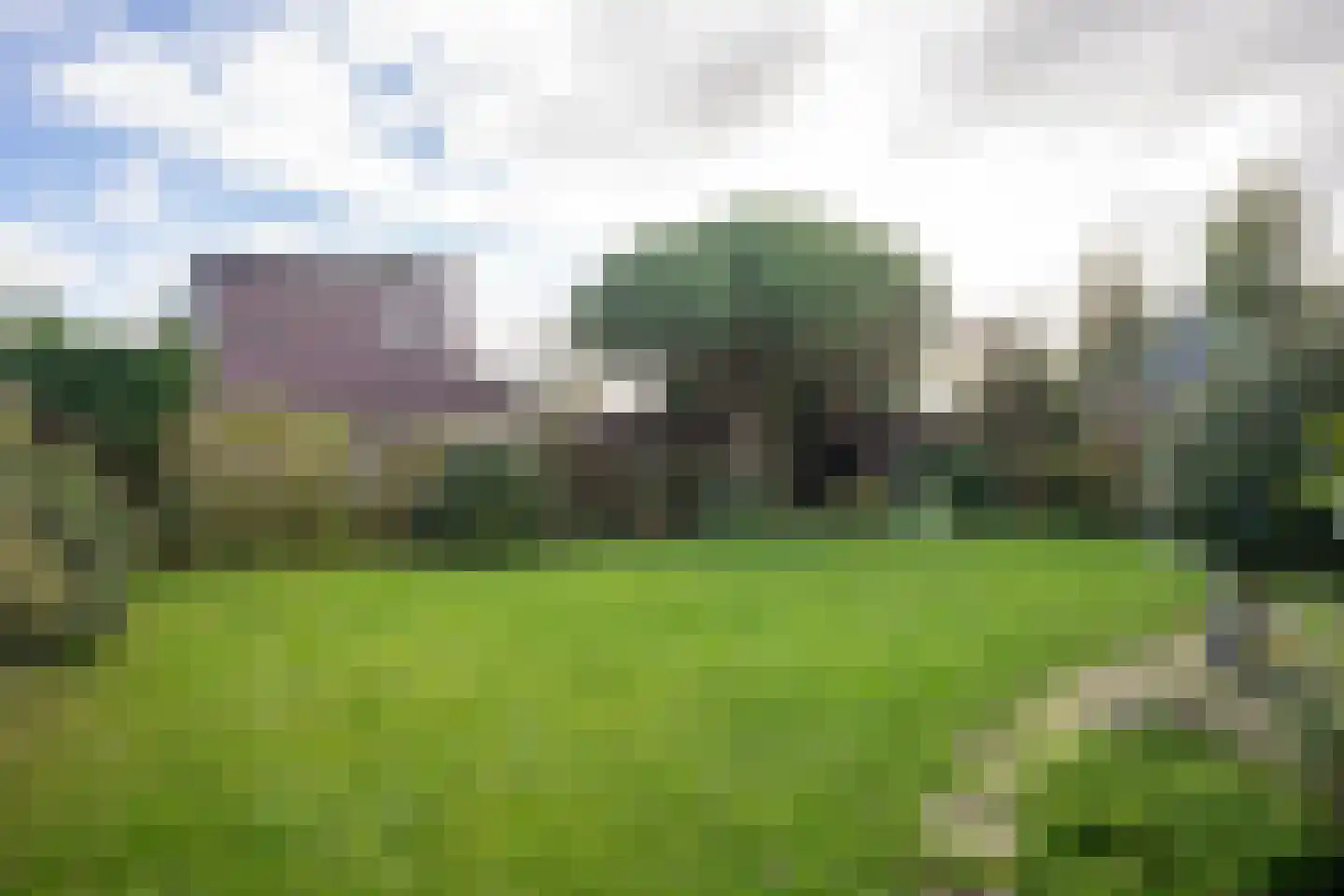 Roggeslootweg 149 De Cocksdorp thumbnail 54