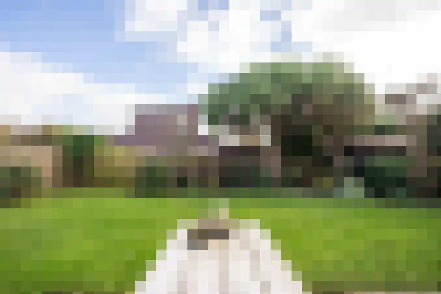 Roggeslootweg 149 De Cocksdorp thumbnail 55