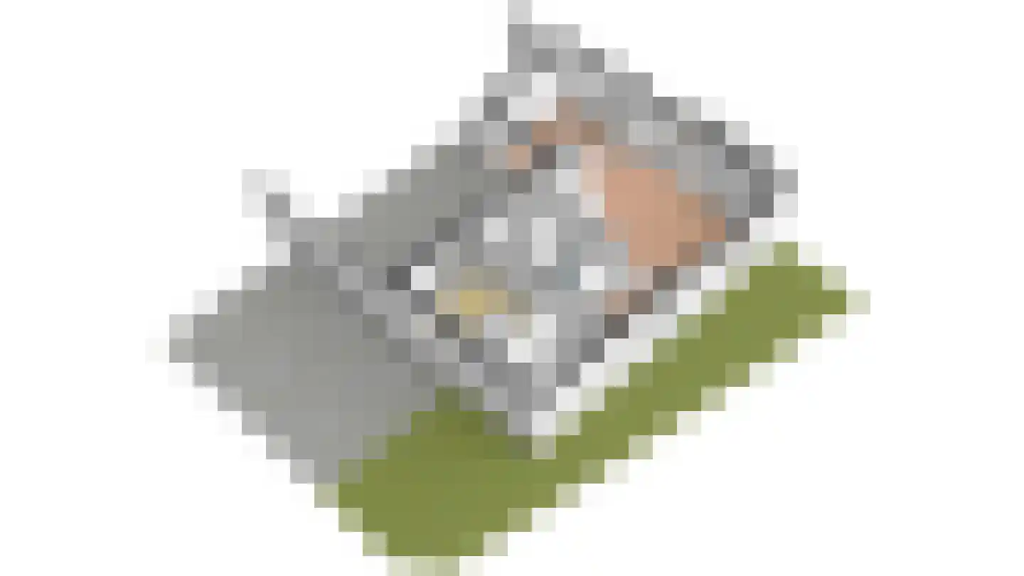 Roggeslootweg 149 De Cocksdorp thumbnail 66