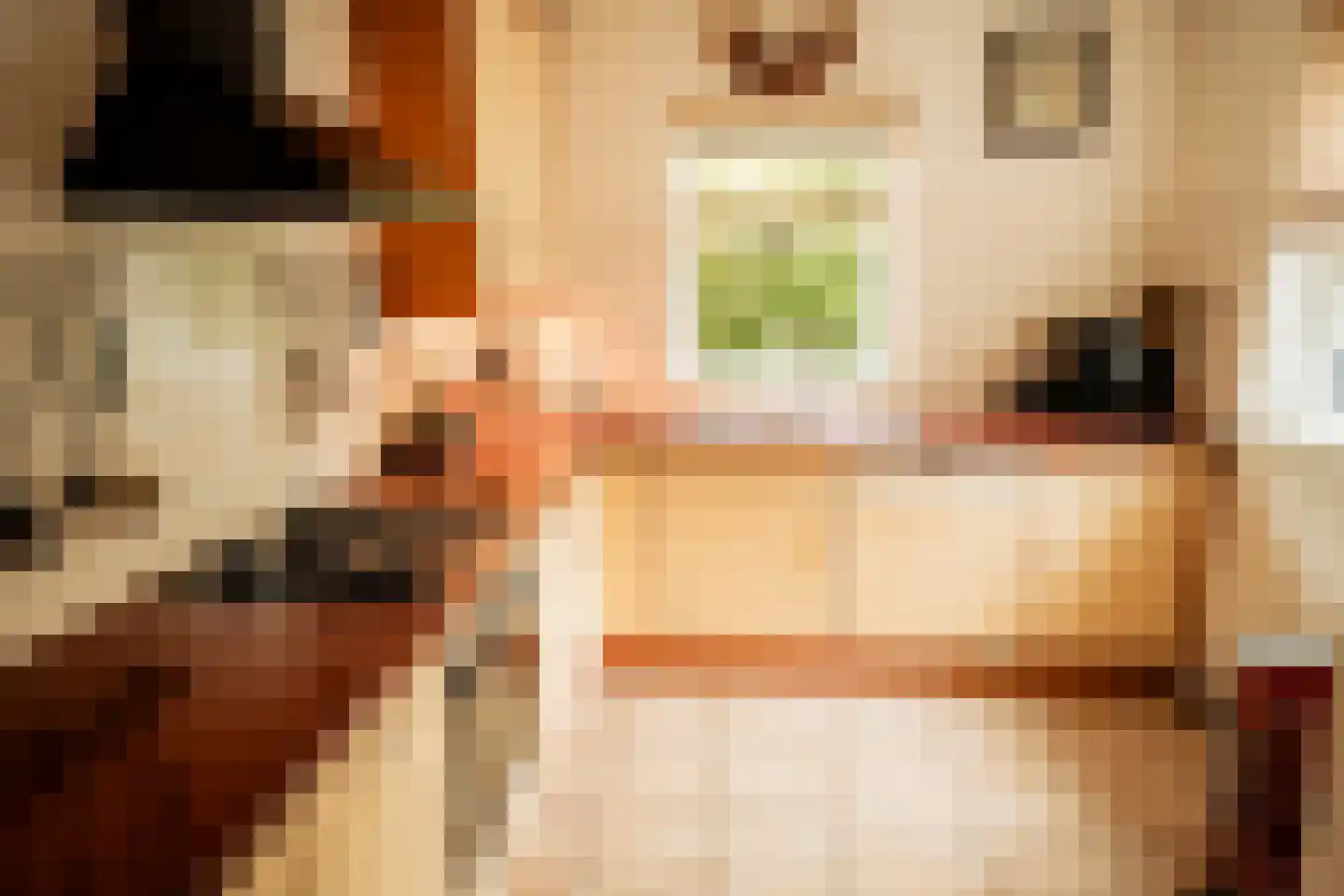 Roggeslootweg 151 De Cocksdorp thumbnail 13