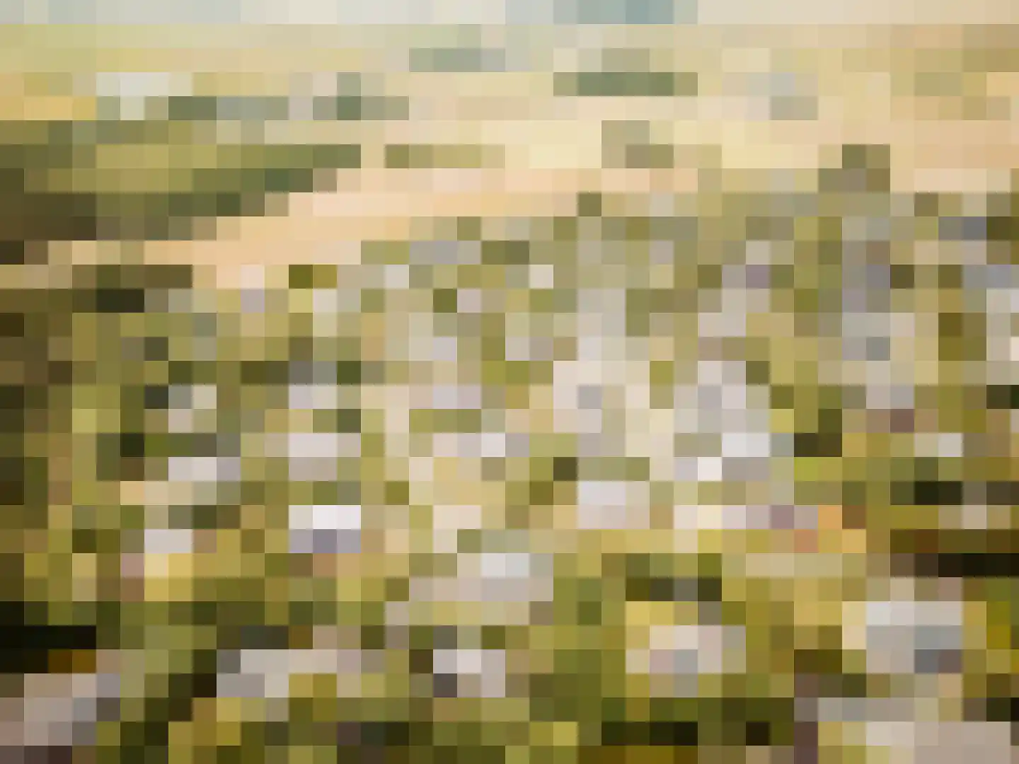 Roggeslootweg 151 De Cocksdorp thumbnail 21