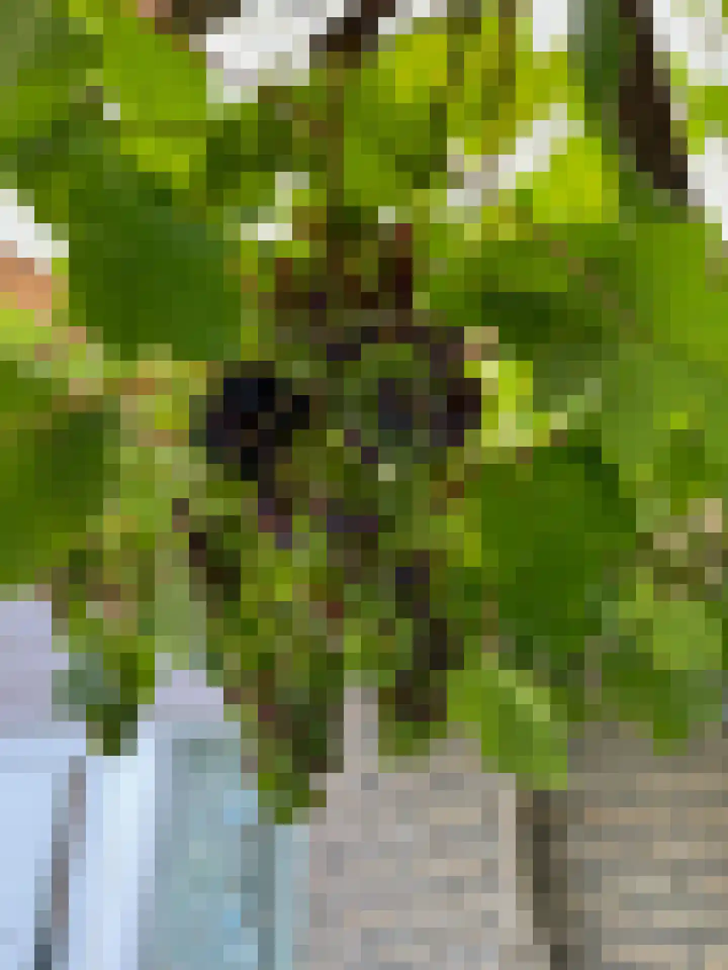 Roggeslootweg 151 De Cocksdorp thumbnail 5