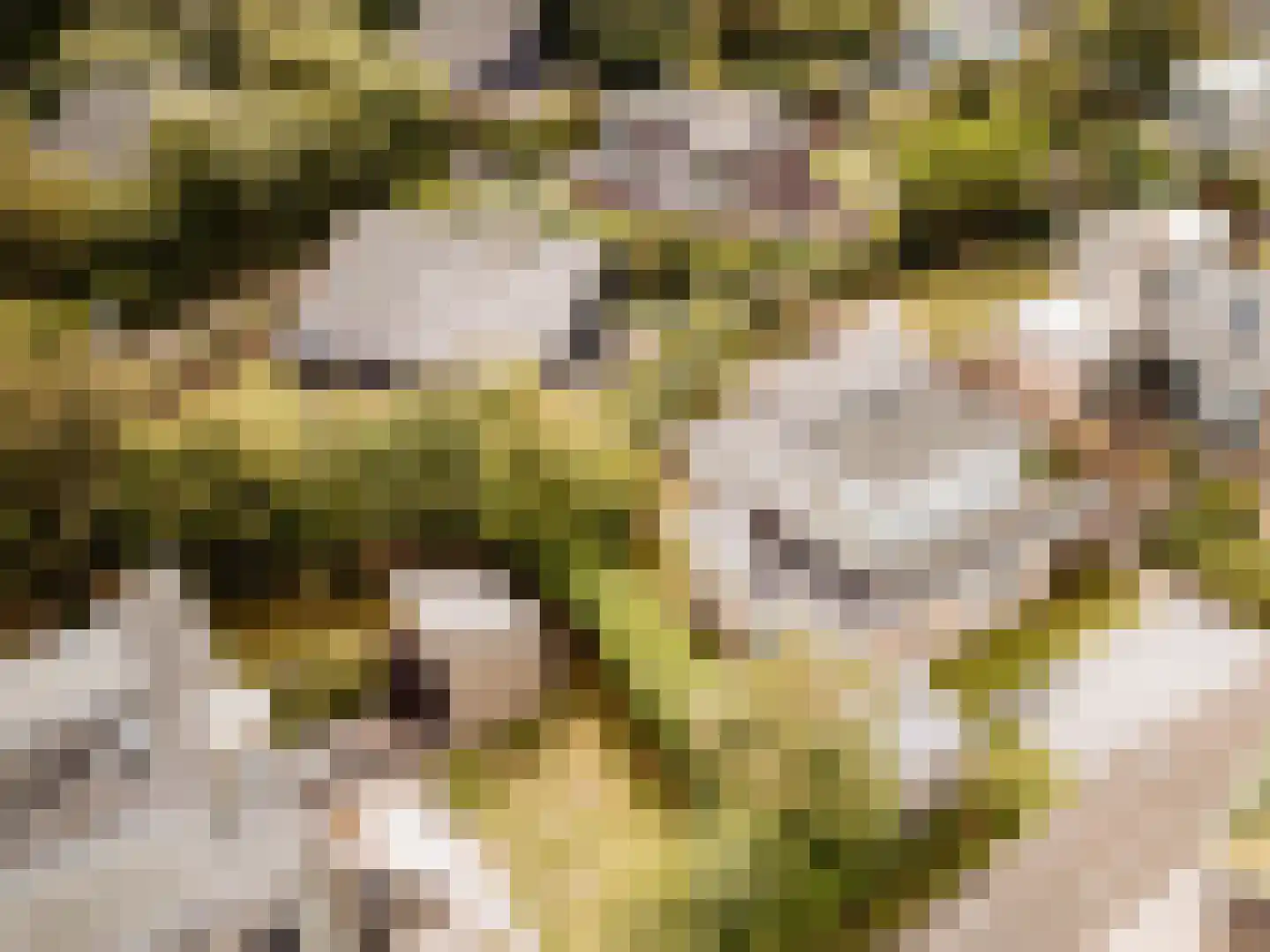 Roggeslootweg 151 De Cocksdorp thumbnail 7