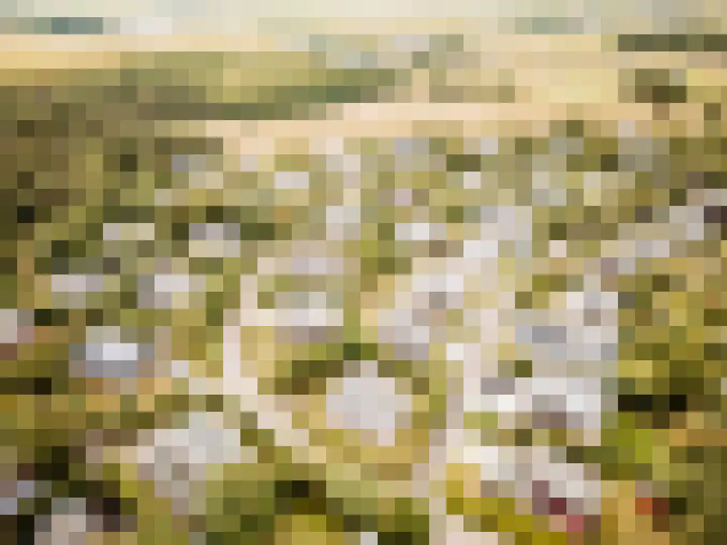 Roggeslootweg 151 De Cocksdorp thumbnail 8