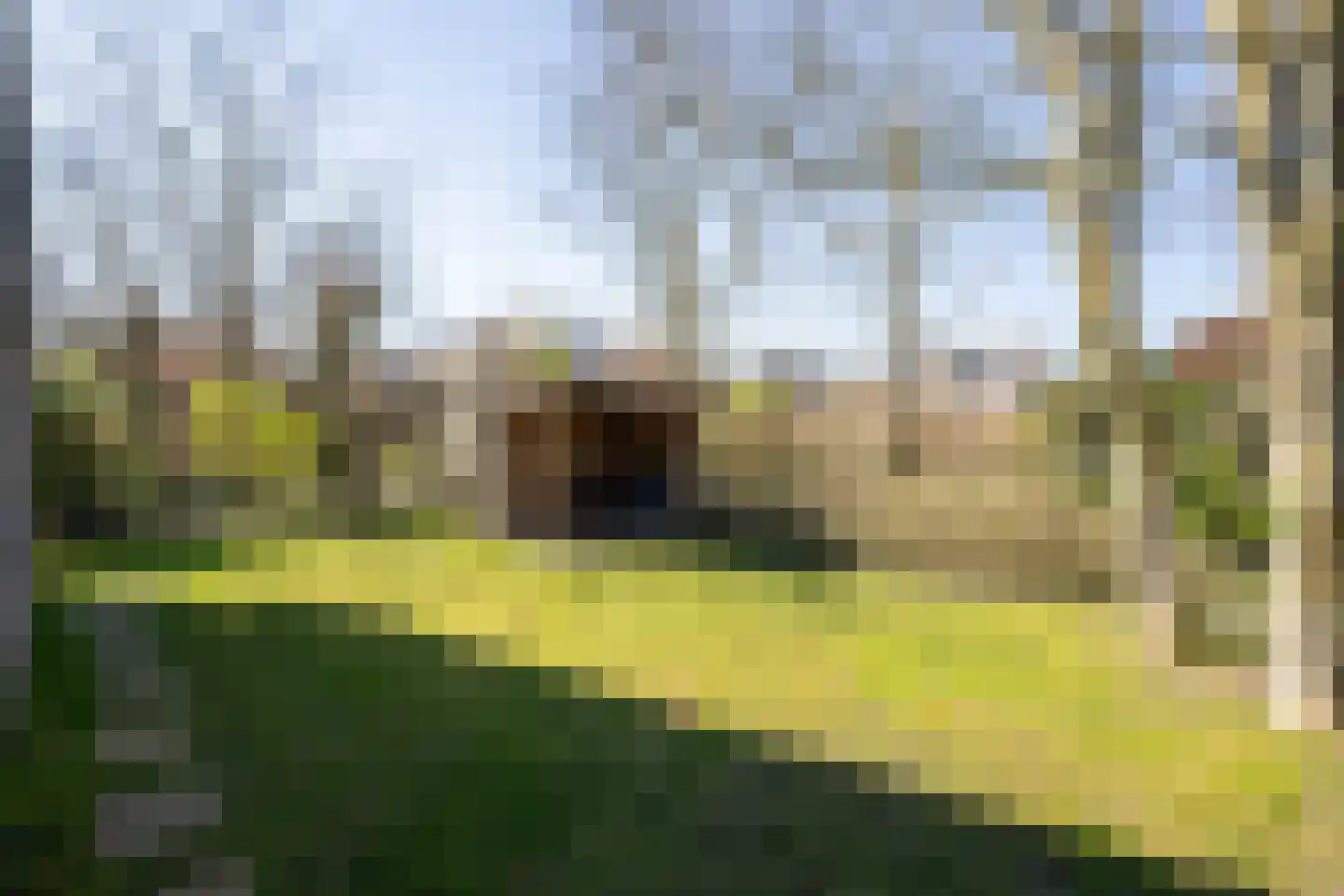 Roggeslootweg 173 De Cocksdorp thumbnail 26