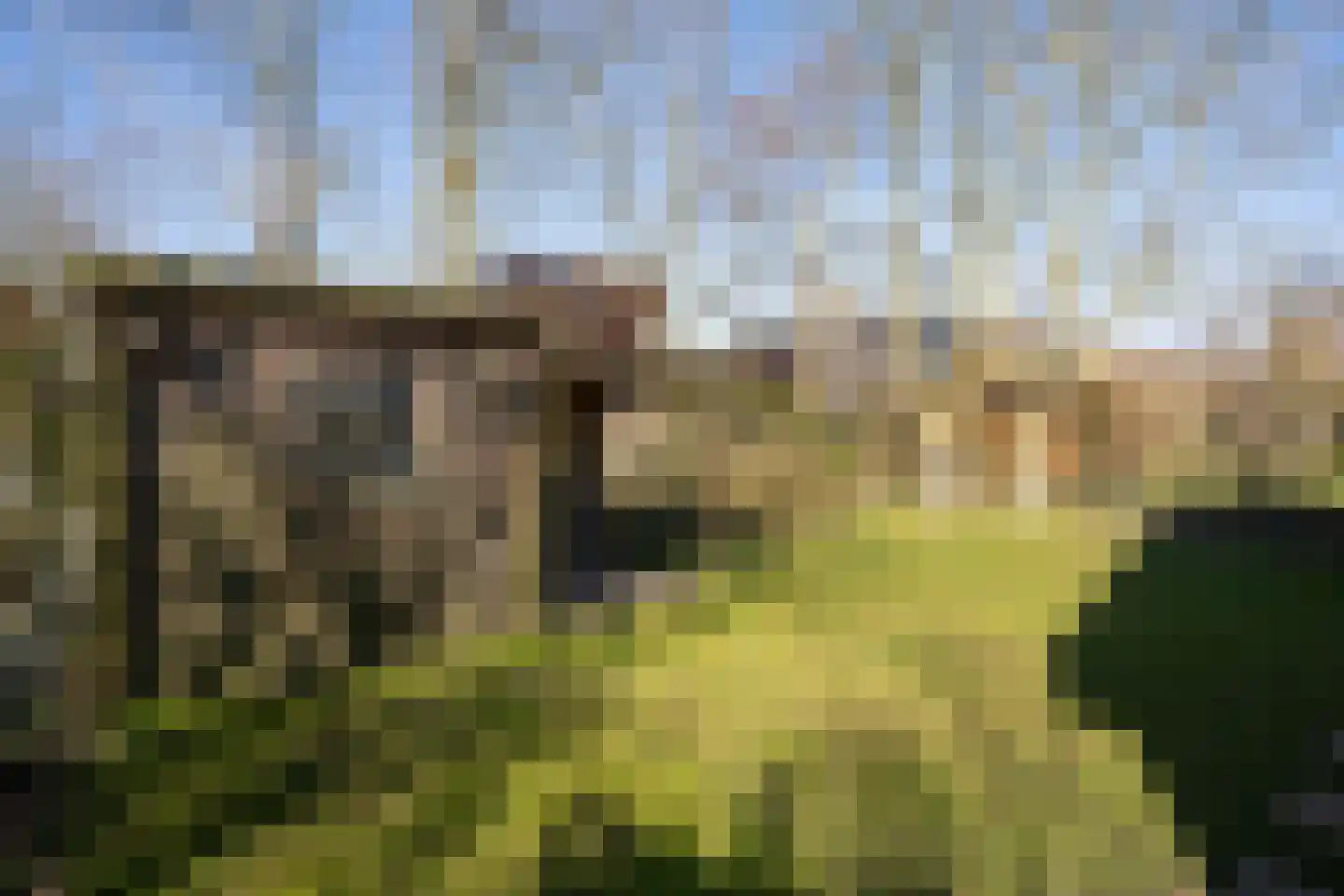 Roggeslootweg 173 De Cocksdorp thumbnail 27