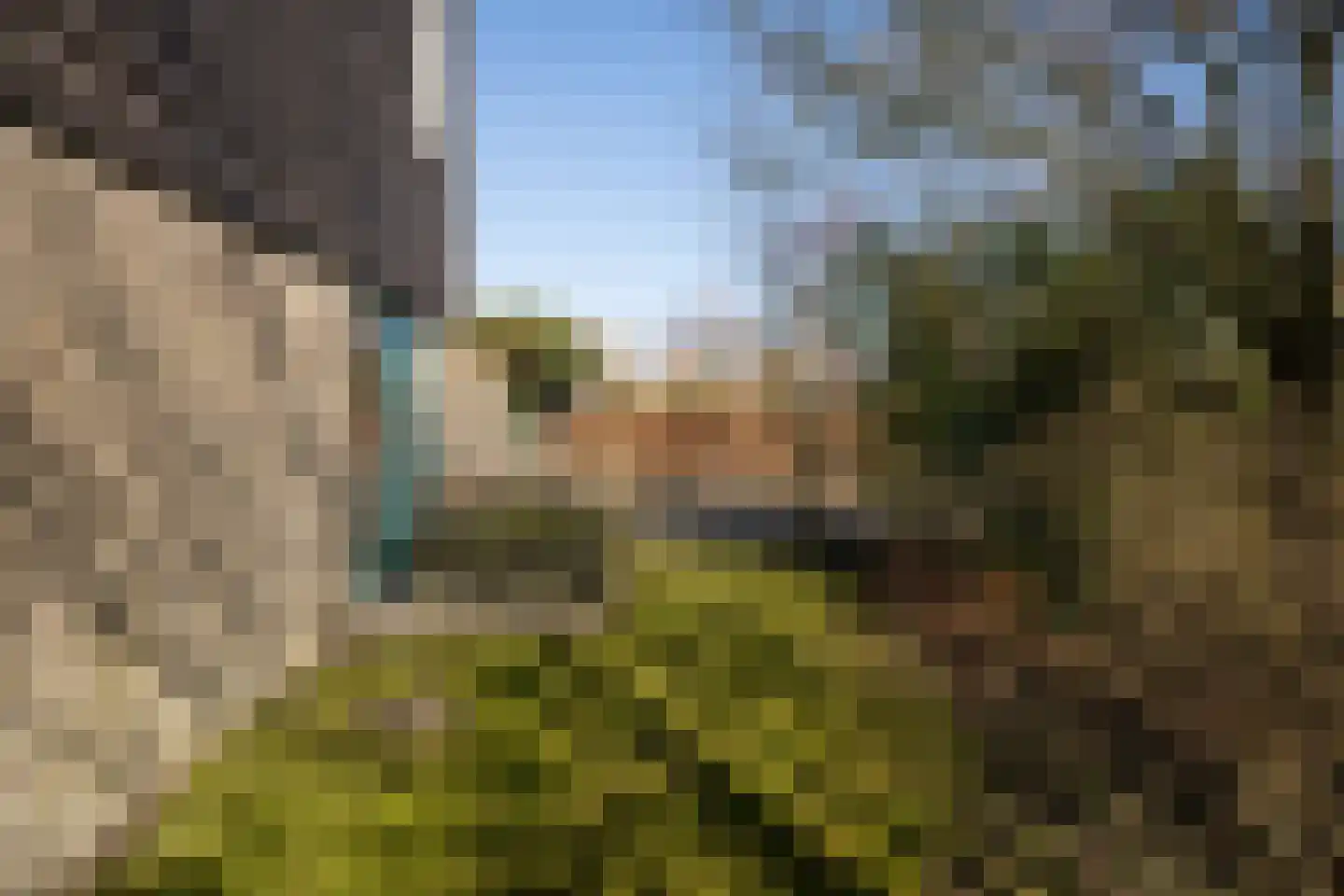 Roggeslootweg 173 De Cocksdorp thumbnail 29