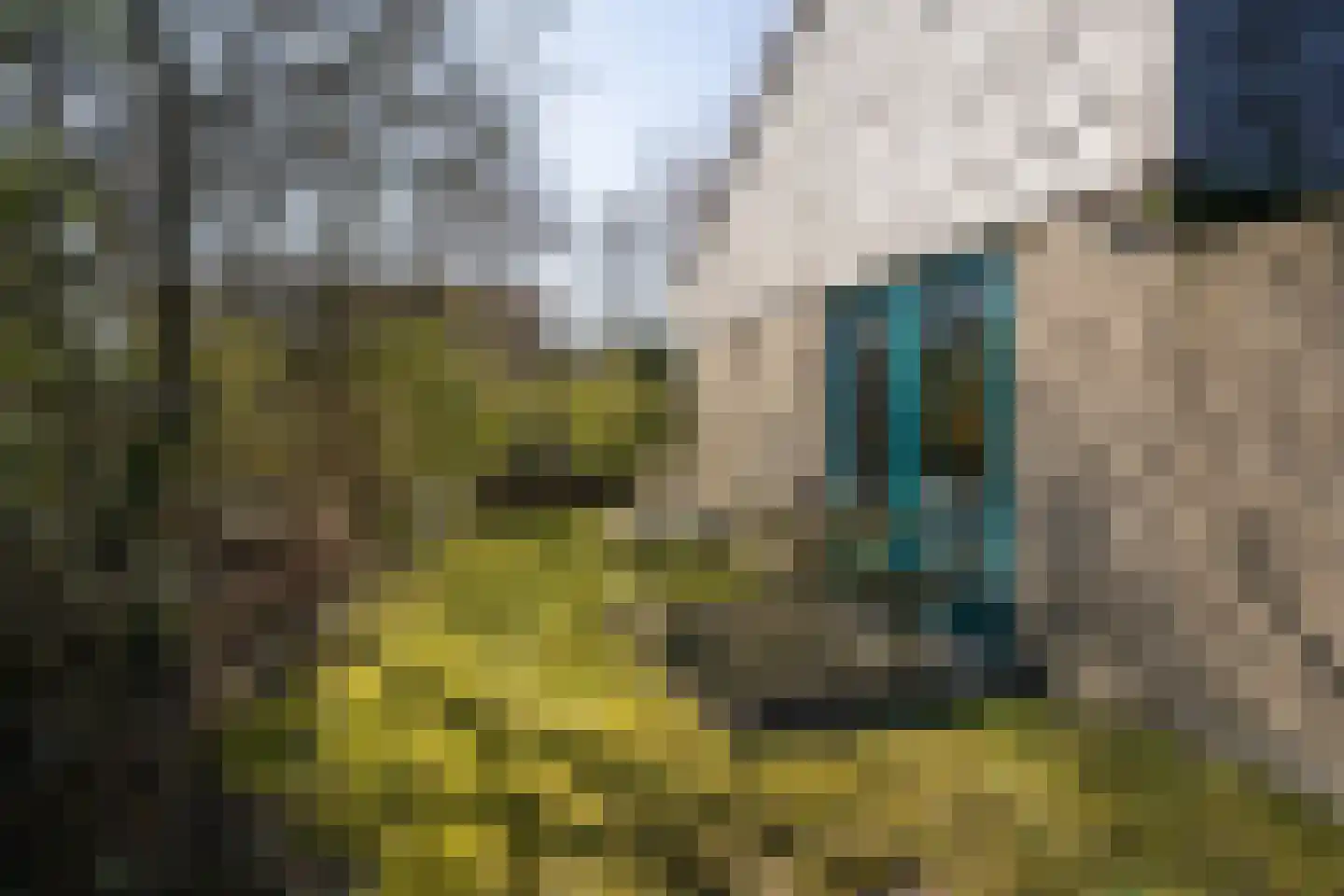 Roggeslootweg 173 De Cocksdorp thumbnail 31