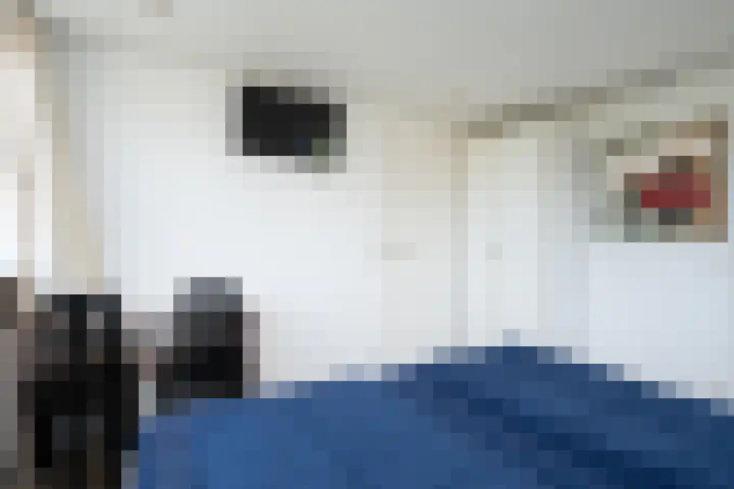 Roggeslootweg 201 De Cocksdorp thumbnail 22
