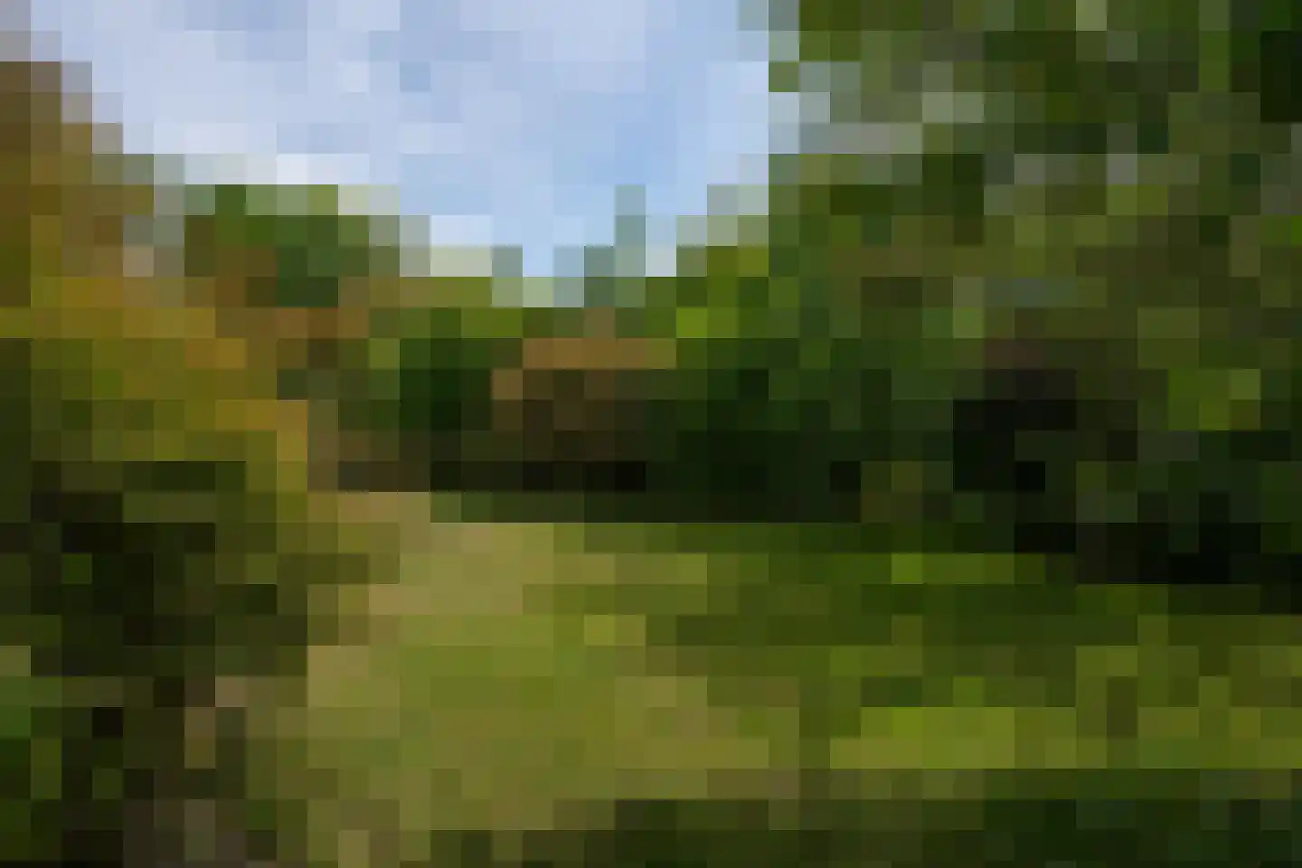 Roggeslootweg 201 De Cocksdorp thumbnail 41