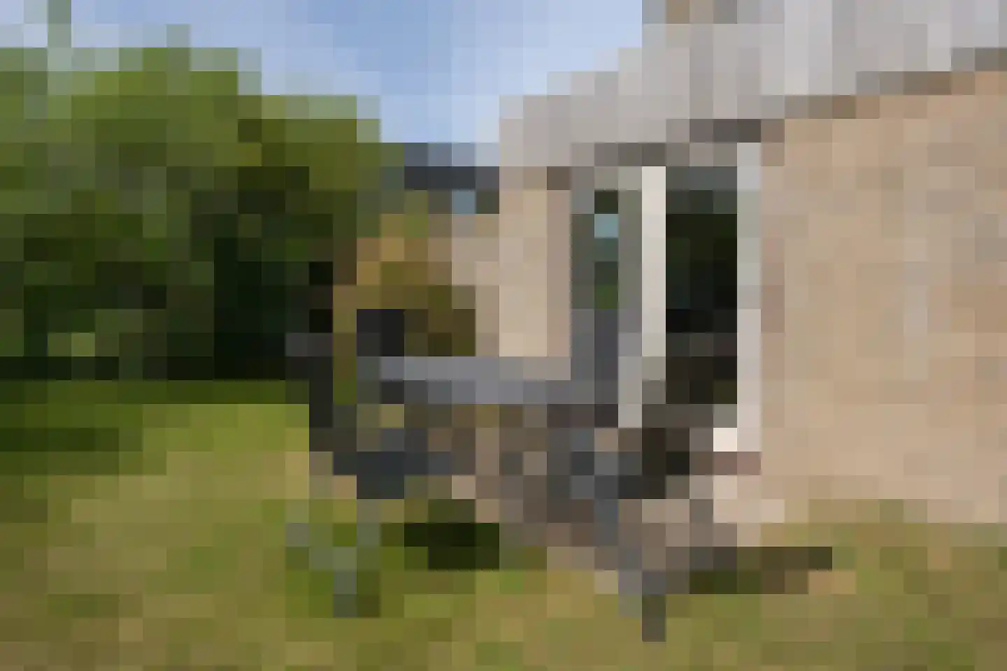 Roggeslootweg 201 De Cocksdorp thumbnail 43